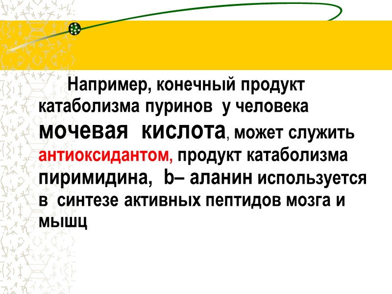 Например, конечный продукт  катаболизма пуринов  у человека мочевая  кислота, может служить